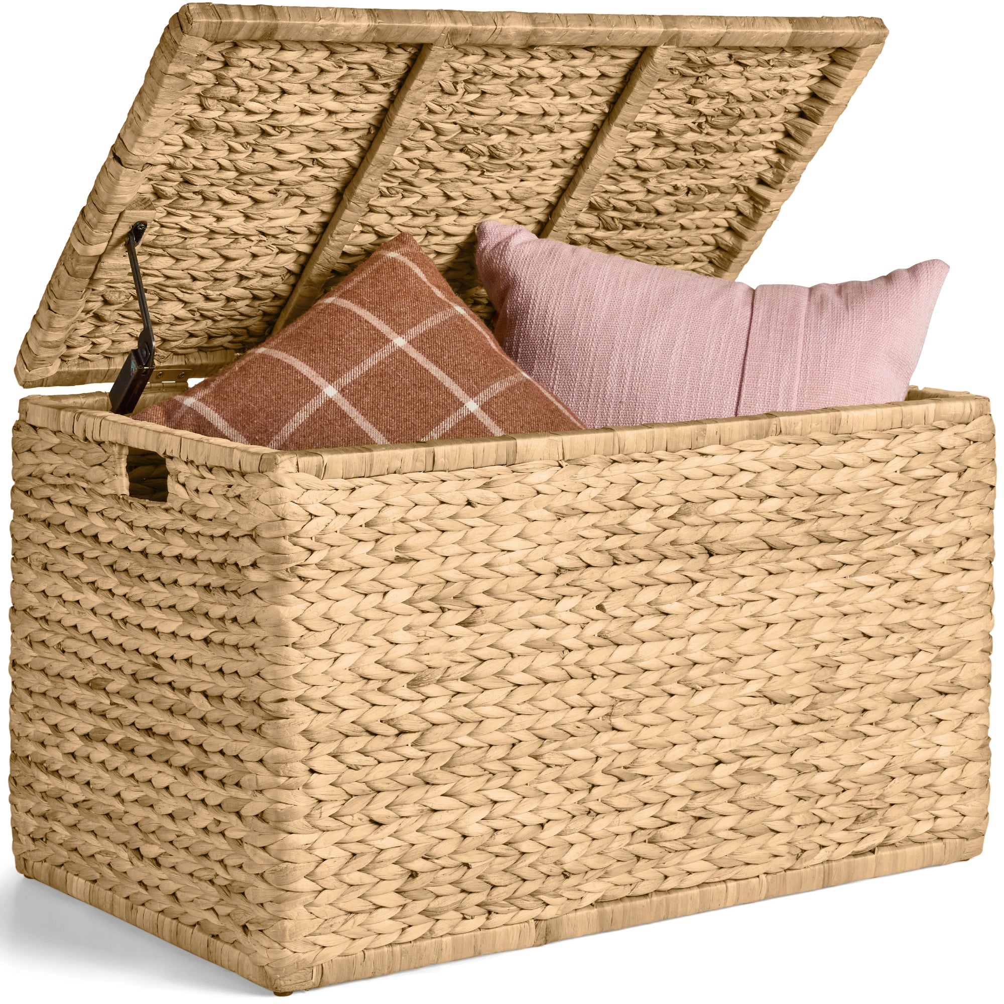 Storage Trunk w/ Lid & Handles Storage Bench Toy Chest